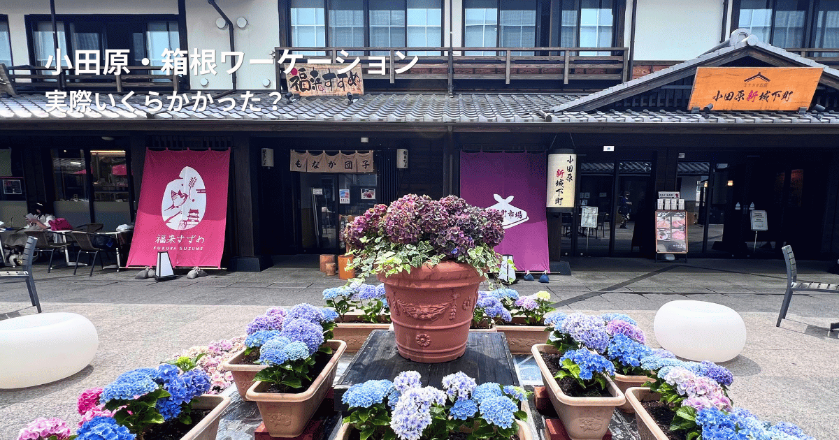 小田原・箱根ワーケーションで訪れた施設前のあじさいの風景